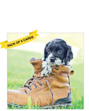 Puppy in a boot - pack of 6 notecards