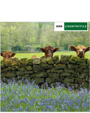 Cows in Nidderdale - BBC Countryfile greetings card