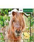 BBC Countryfile Shetland Pony - Blank Card