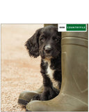 Working cocker spaniel Puppy - BBC Countryfile greetings card