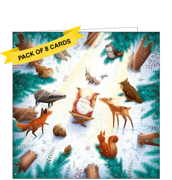 This stunning pack of charity Christmas cards includes 8 cards of one design. The cards are decorated with an illustration by James Newman Gray showing a scene of the baby Jesus in his manger, in a snowy forest clearing, as woodland animals approach to worship.