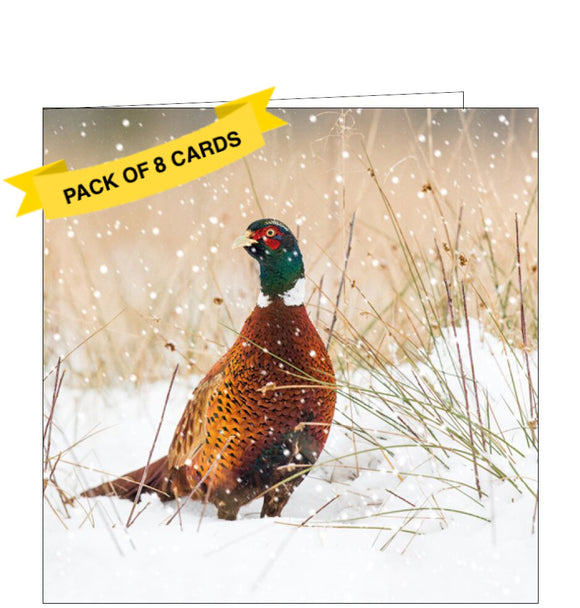 This pack of charity Christmas cards includes 8 cards of one design. The cards are decorated with a photograph of a pheasant standing in a snowy landscape.