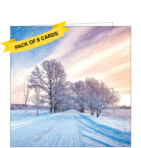 This pack of charity Christmas cards includes 8 cards of one design. The cards are decorated with a photograph of a snowy tree-lined country road.