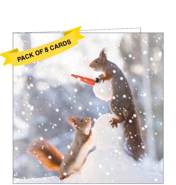 This pack of charity Christmas cards includes 8 cards of one design. The cards are decorated with an edited photograph of a pair of squirrels building a snowman.