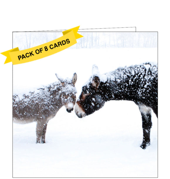 This pack of charity Christmas cards includes 8 cards of one design. The cards are decorated with a photograph of a pair of donkeys in a snowy field