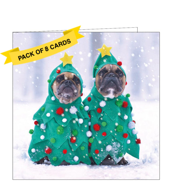 This pack of charity Christmas cards includes 8 cards of one design. The cards are decorated with a photograph of a pair of grumpy looking pug dogs in Christmas tree costumes - complete with star hats!