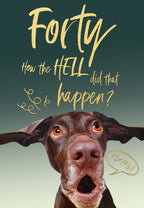 How the HELL did that happen? - 40th Birthday card