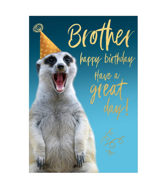 Celebrate their special day with this cute birthday card for a special brother featuring a  meerkat with a party hat against a blue background.

Gold text on the front of this card reads 