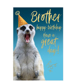 Celebrate their special day with this cute birthday card for a special brother featuring&nbsp;a&nbsp; meerkat with a party hat against a blue background.

Gold text on the front of this card reads "Brother...Happy birthday...Have a great day!"