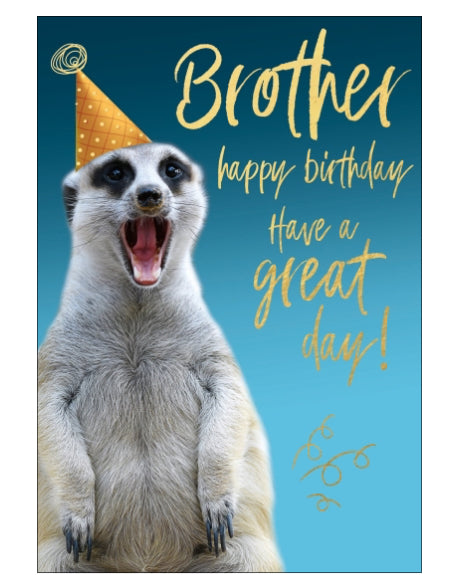 Brother birthday card