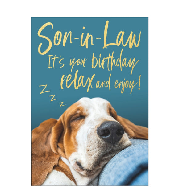 Celebrate their special day with this cute birthday card for a special son in law featuring a photograph of a basset hound dog snoozing against his master's leg. 

Gold text on the front of this card reads 