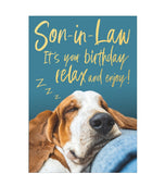 Celebrate their special day with this cute birthday card for a special son in law featuring a photograph of a basset hound dog snoozing against his master's leg.&nbsp;

Gold text on the front of this card reads "Son-in-law It's your birthday relax and enjoy".