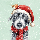 Festive Friends - Pack of 8 charity Christmas cards