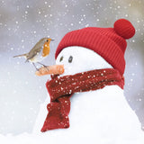 Snowman and Robin - Pack of 8 charity Christmas cards