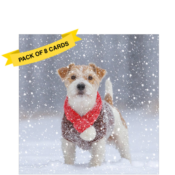 Jack Russell in Snow - Pack of 8 charity Christmas cards