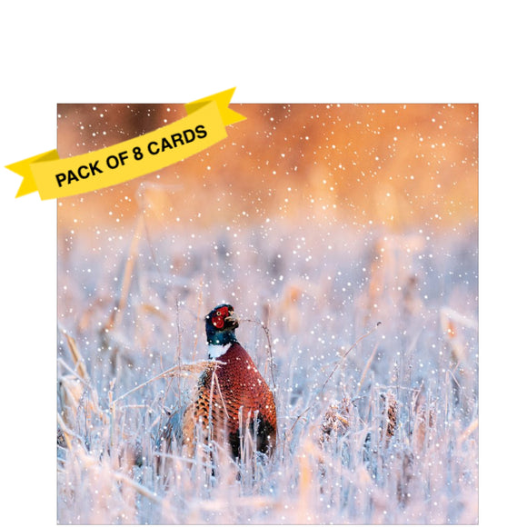 This pack of charity christmas cards are decorated a stunning photograph of a colourful pheasant who stands out against the frozen stubble around him.

Each pack includes 8 cards of the same design.