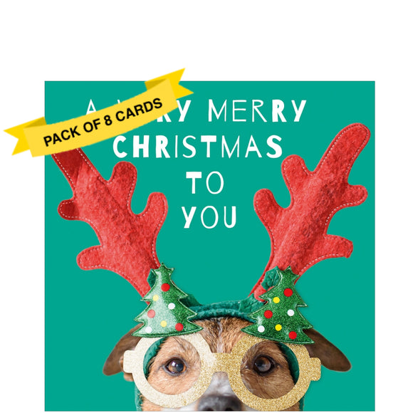 This pack of charity christmas cards are decorated with a comical dog on this  really getting in the mood with his festive specs. White text on the front of the cards reads 