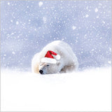 Festive Polar Bear - Pack of 8 charity Christmas cards