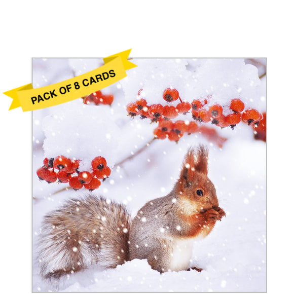 This pack of charity Christmas cards contains 8 cards of one design. The front of the cards are decorated with a wonderful photograph of a red squirrel gathering red rosehips in the snow. A classic and lovely image.