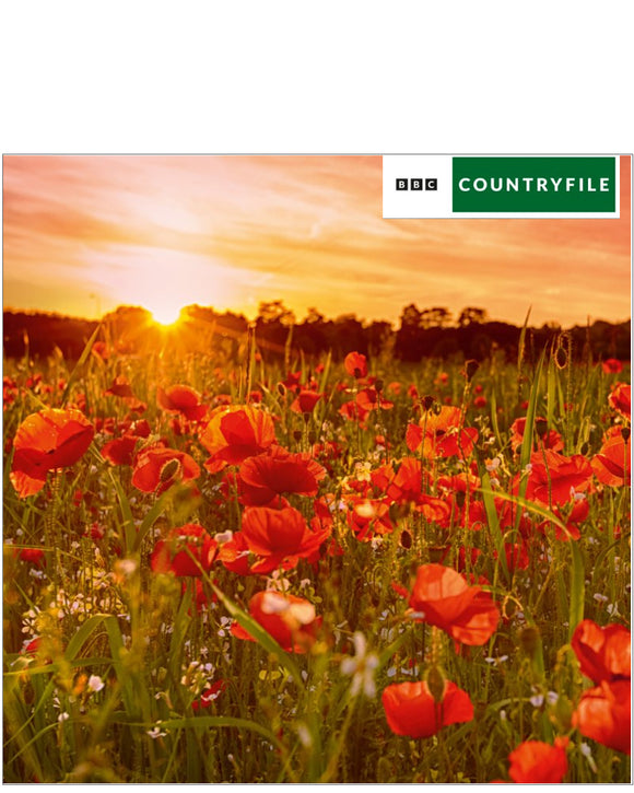 Poppy Fields - Countryfile blank card