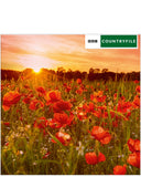 Poppy Fields - Countryfile blank card