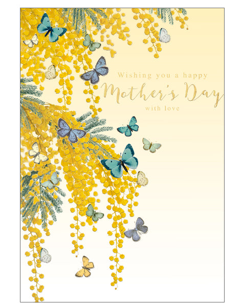 Mimosa and butterfly - Mother's Day card