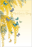 Mimosa and butterfly - Mother's Day card