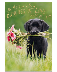 Bunches of Love - Mother's Day card