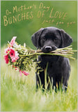 Bunches of Love - Mother's Day card