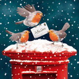 Festive robins - Box of 27 Christmas cards