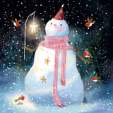 Festive robins - Box of 27 Christmas cards