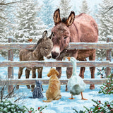Festive farm animals - Box of 27 Christmas cards