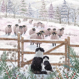 Festive farm animals - Box of 27 Christmas cards