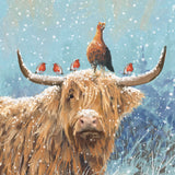 Festive farm animals - Box of 27 Christmas cards