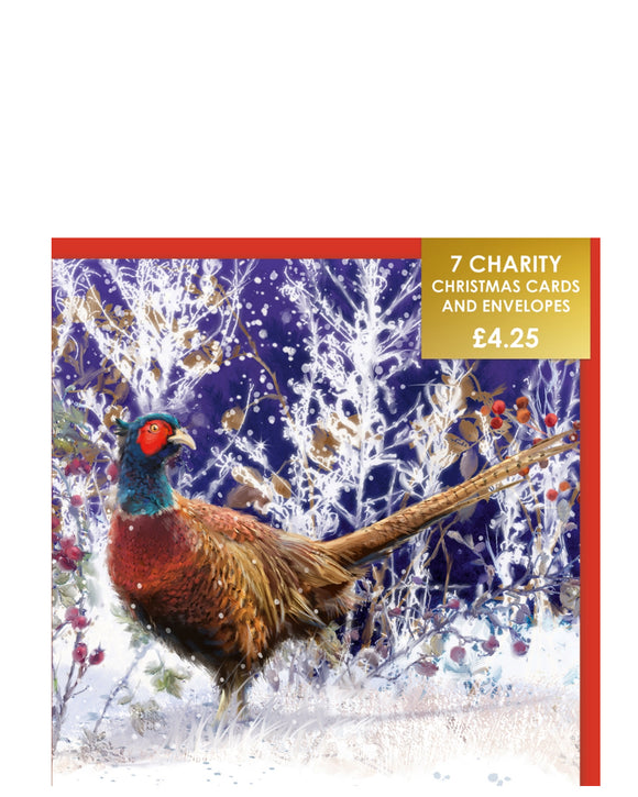 Festive pheasant - Pack of 7 charity Christmas cards