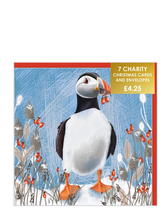 Christmas puffin - Pack of 7 charity Christmas cards
