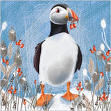 Christmas puffin - Pack of 7 charity Christmas cards
