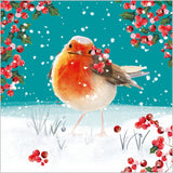 Robin and red berries - Pack of 7 charity Christmas cards