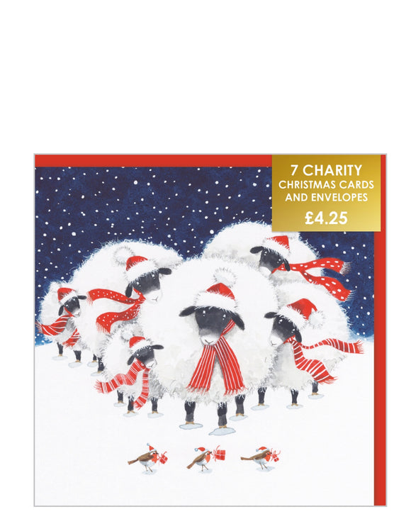 Festive sheep and robins - Pack of 7 charity Christmas cards