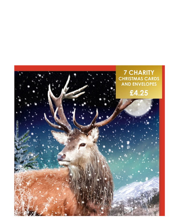 Highland stag - Pack of 7 charity Christmas cards