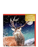 Highland stag - Pack of 7 charity Christmas cards