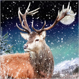 Highland stag - Pack of 7 charity Christmas cards
