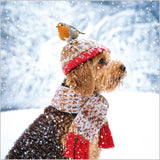 Cockapoo and robin - Pack of 7 charity Christmas cards