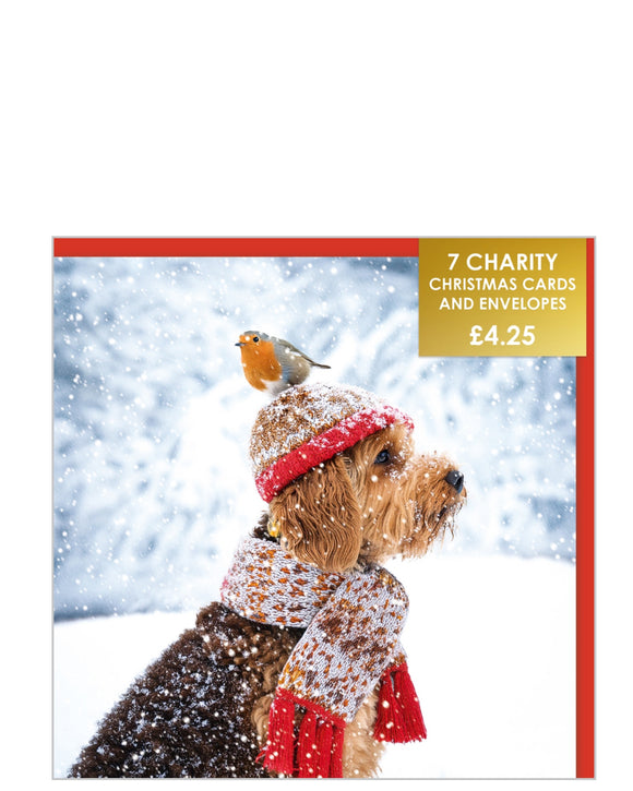 Cockapoo and robin - Pack of 7 charity Christmas cards