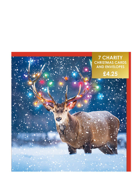 Festive stag - Pack of 7 charity Christmas cards