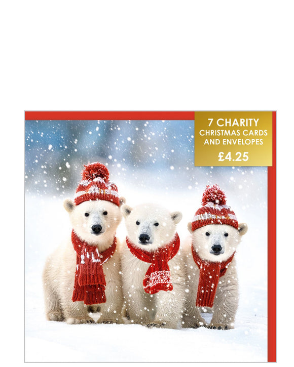 Polar bear cubs - Pack of 7 charity Christmas cards
