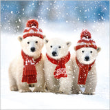 Polar bear cubs - Pack of 7 charity Christmas cards