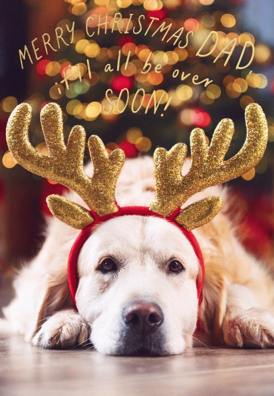 Dad Christmas card