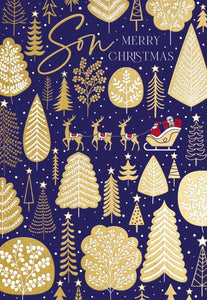 Son Christmas card