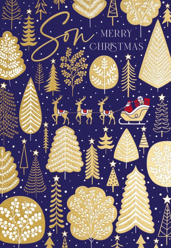 Son Christmas card